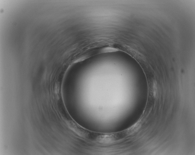 X0000076450082200610161322