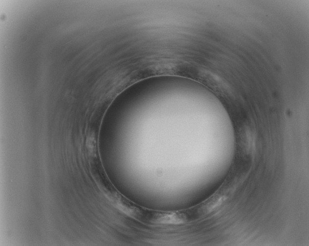 X0000076450083200610161322