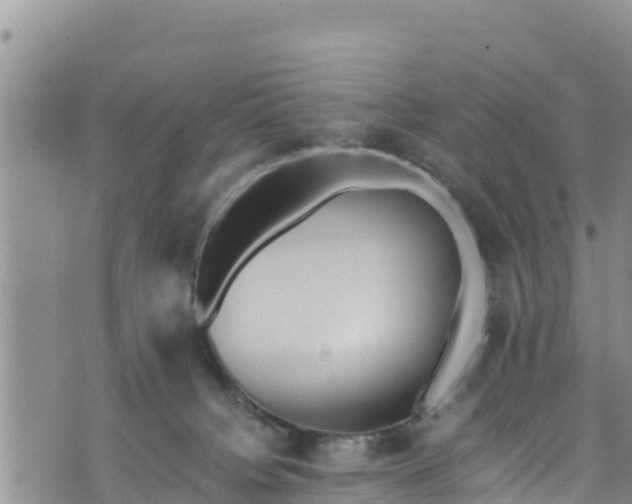 X0000076450084200610161322