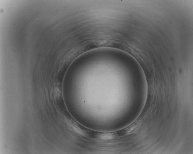 X0000076450085200610161322