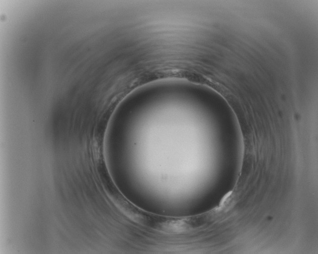 X0000076450086200610161322