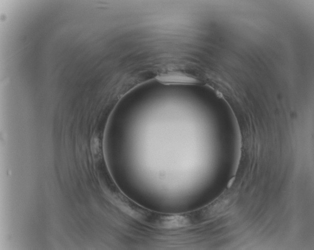 X0000076450087200610161322