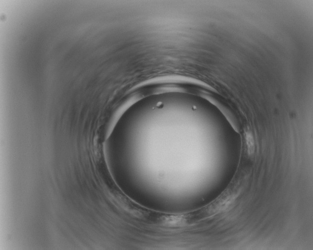 X0000076450088200610161322