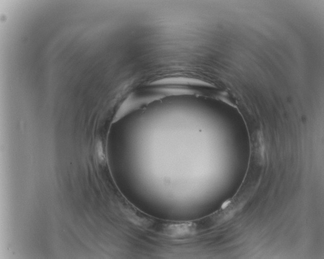 X0000076450089200610161322