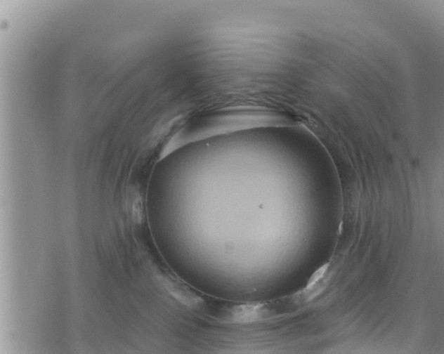 X0000076450090200610161322