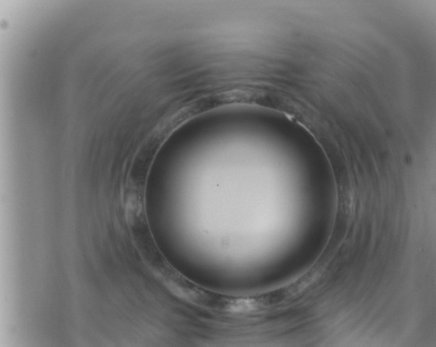 X0000076450091200610161322