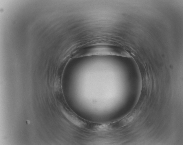 X0000076450092200610161322