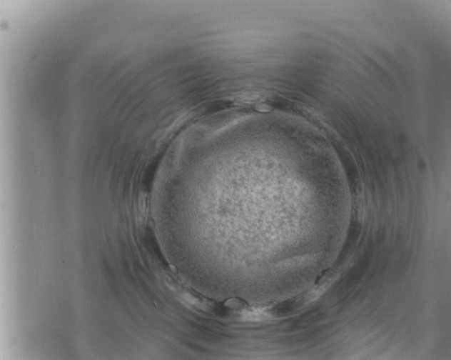 X0000076450093200610161322