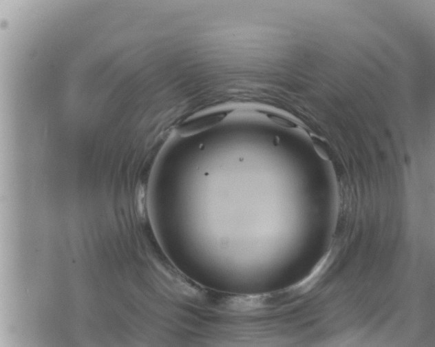 X0000076450094200610161322