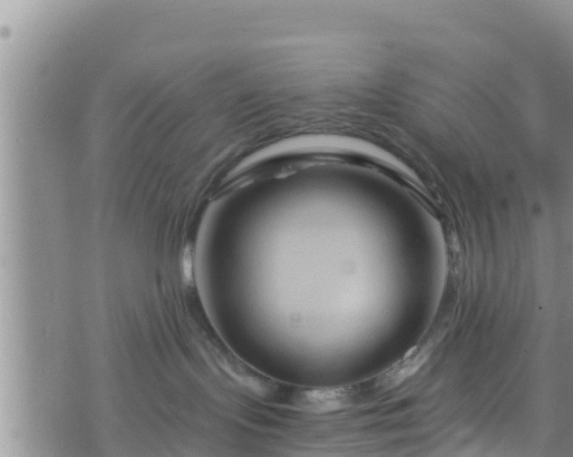 X0000076450095200610161322