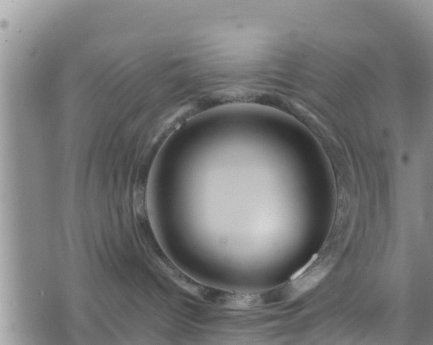 X0000076450096200610161322