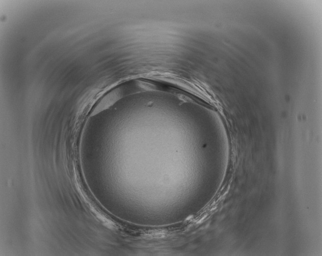 X0000076450097200610161322