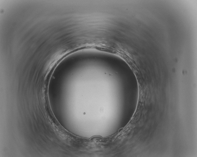 X0000076450098200610161322