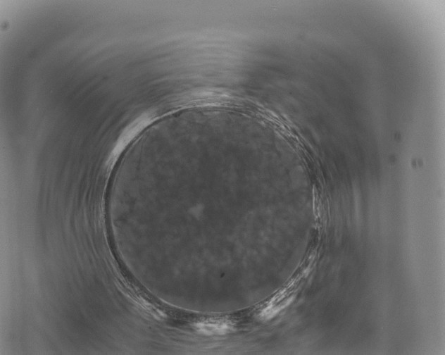 X0000076450099200610161322