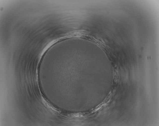 X0000076450100200610161322