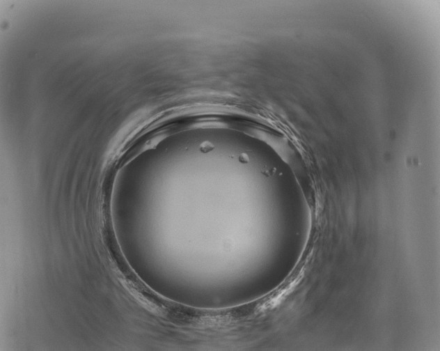 X0000076450101200610161322