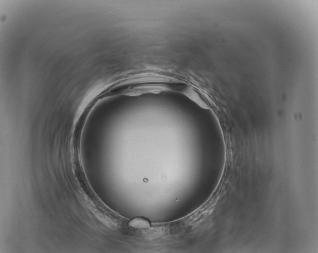 X0000076450102200610161322