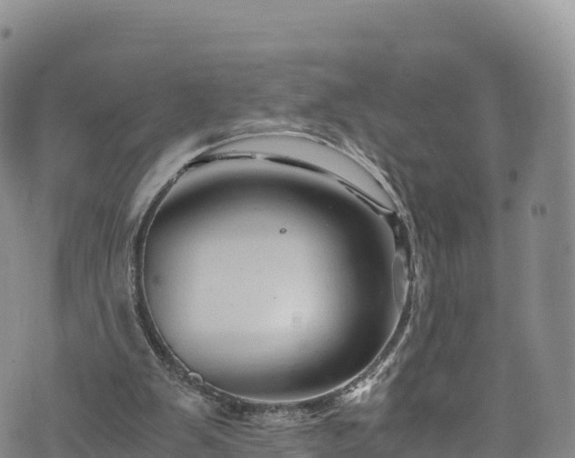 X0000076450103200610161322