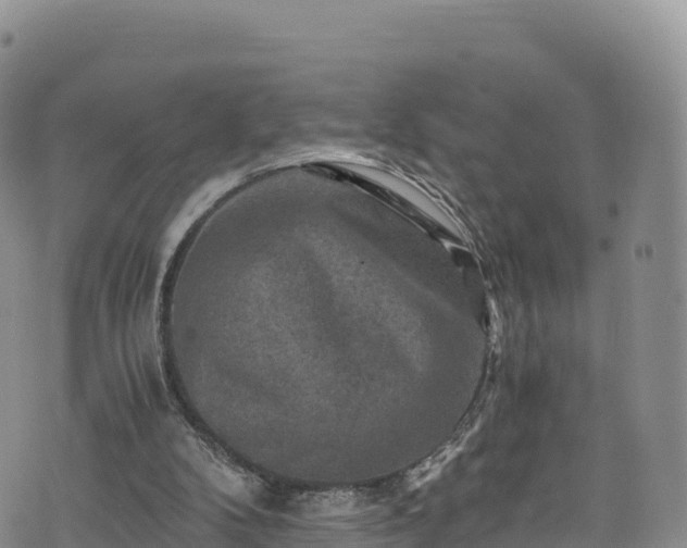 X0000076450104200610161321