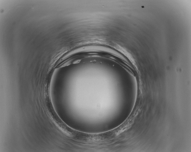 X0000076450105200610161321