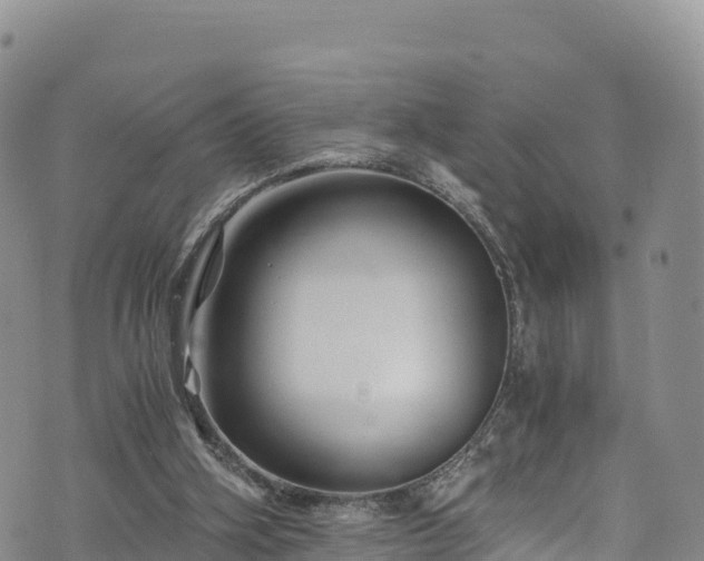 X0000076450106200610161321