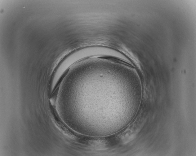 X0000076450107200610161321