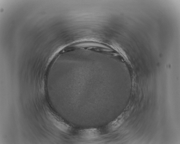 X0000076450108200610161321