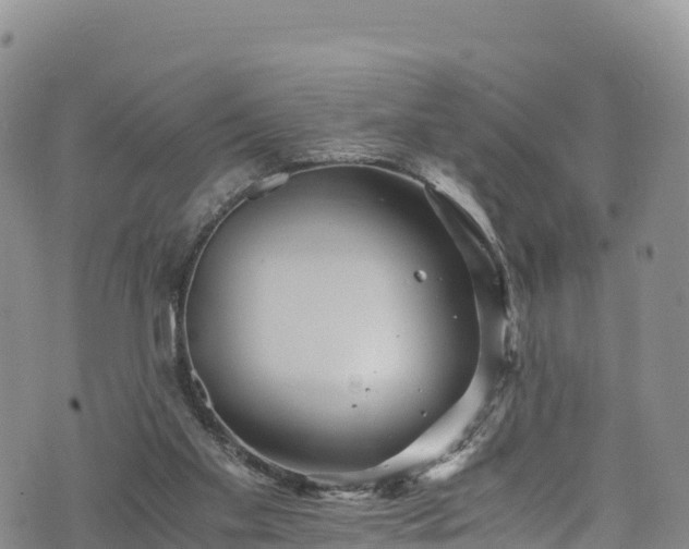 X0000076450109200610161321