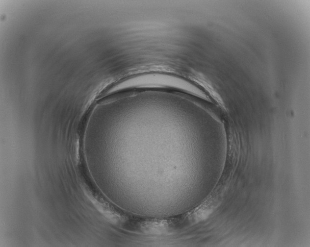 X0000076450110200610161321