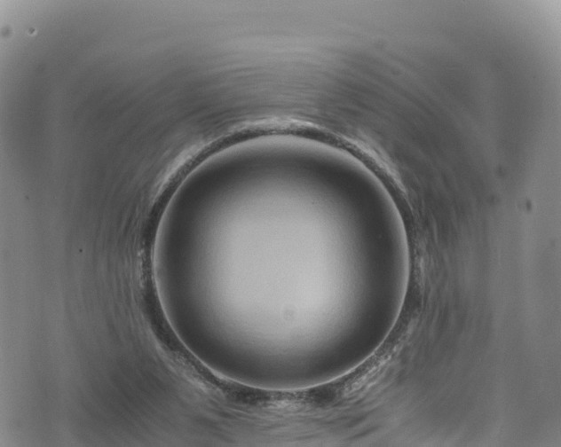 X0000076450111200610161321