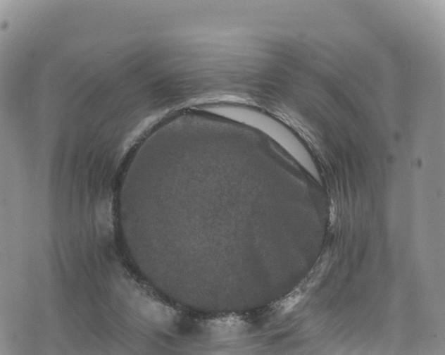 X0000076450112200610161321