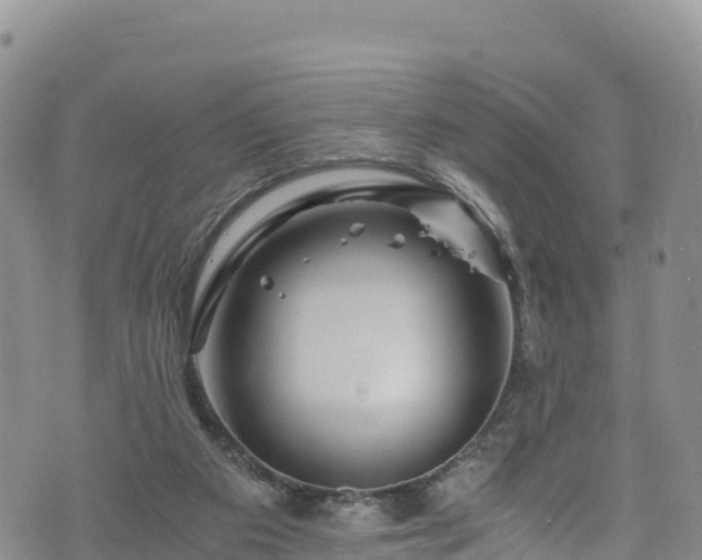 X0000076450113200610161321