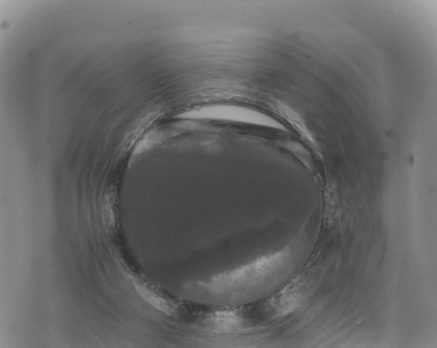 X0000076450114200610161321