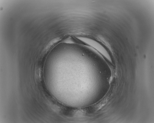 X0000076450115200610161321