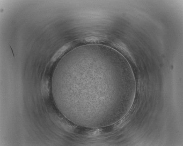 X0000076450116200610161321