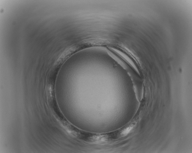 X0000076450117200610161321