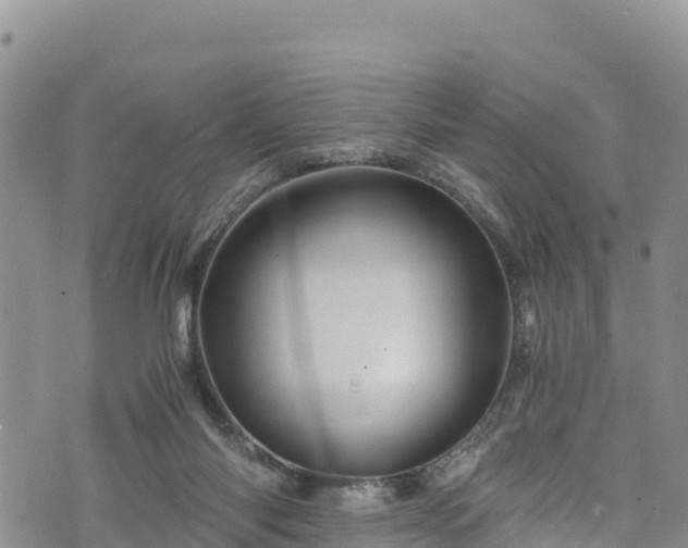 X0000076450118200610161321