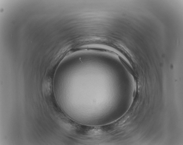 X0000076450119200610161321