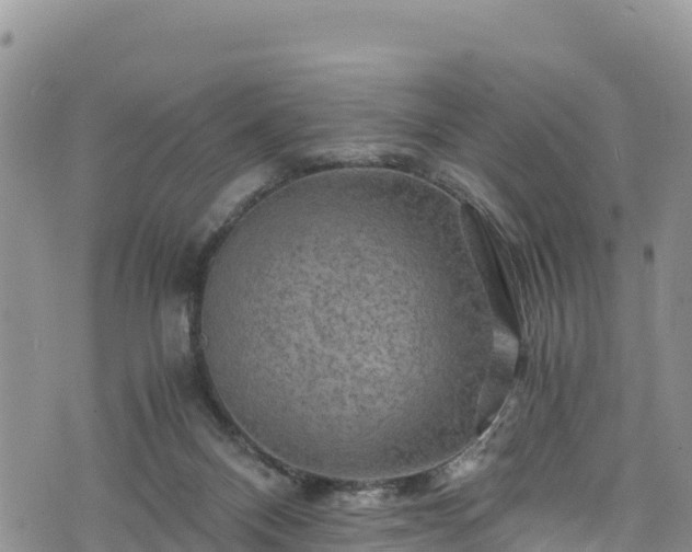 X0000076450120200610161321