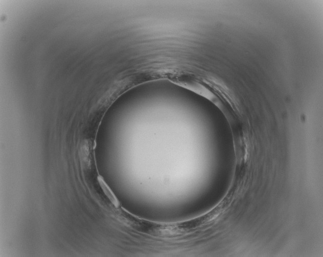 X0000076450121200610161321