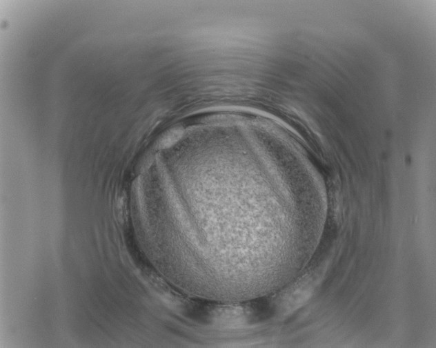 X0000076450123200610161321