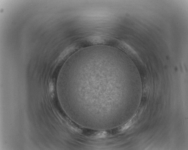 X0000076450124200610161321