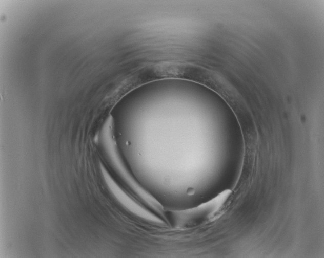 X0000076450125200610161321