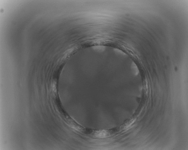 X0000076450127200610161321