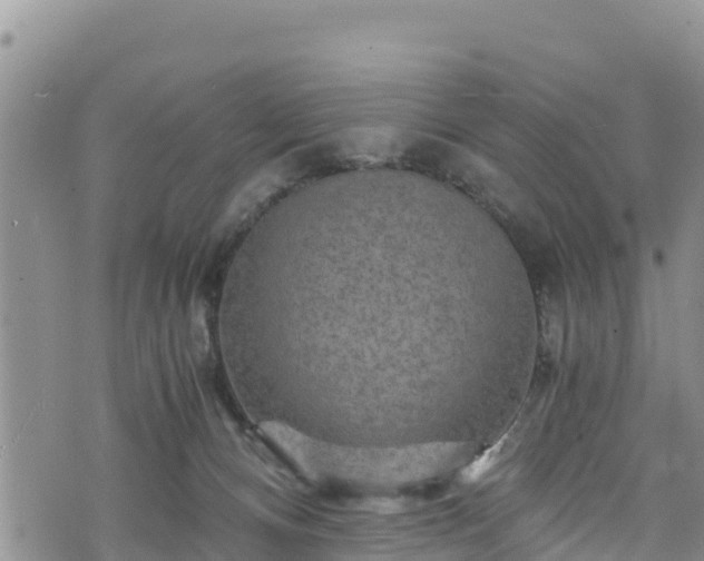 X0000076450128200610161321