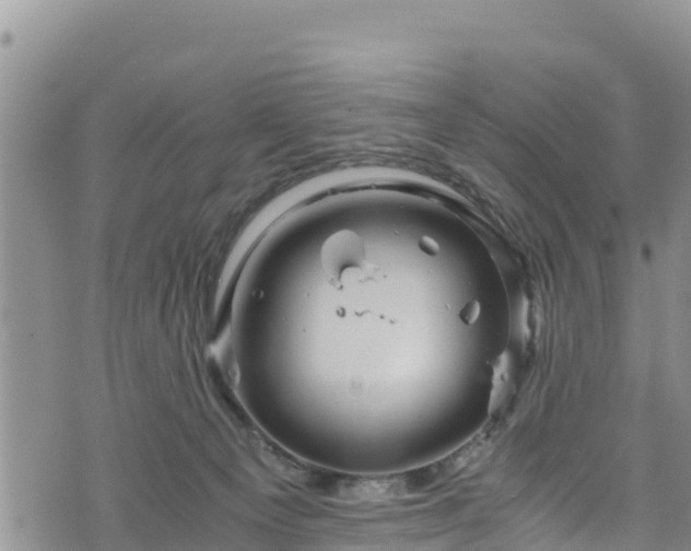 X0000076450129200610161321