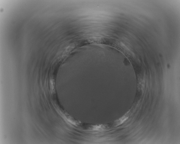 X0000076450130200610161321