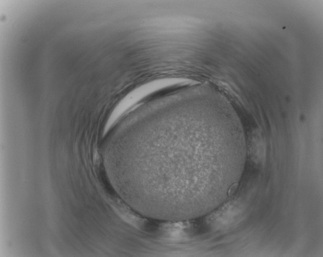 X0000076450131200610161321