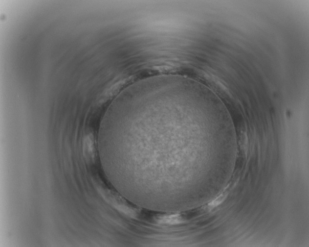 X0000076450132200610161321