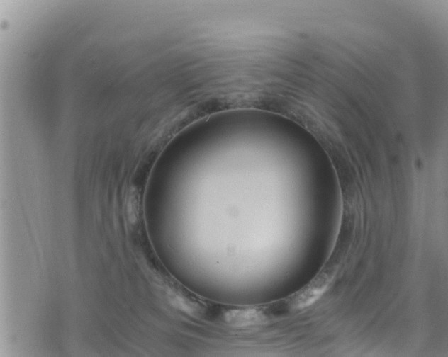 X0000076450133200610161321